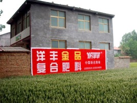 新田如何让墙体广告展现最大化效果