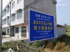 新田墙体广告质量分析