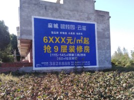 新田品牌公司青睐的墙体广告