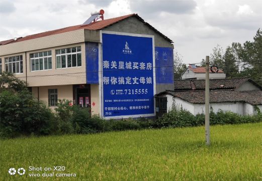 新田决定墙体广告价格的因素有哪些?