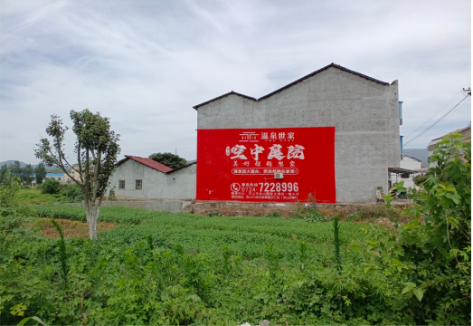 新田做墙体广告的意义