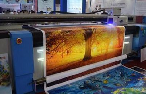 新田写真有哪些介质？