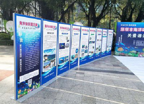 新田KT板的种类和知识。